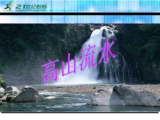 陈星旭速背法条化身“毒舌律师”